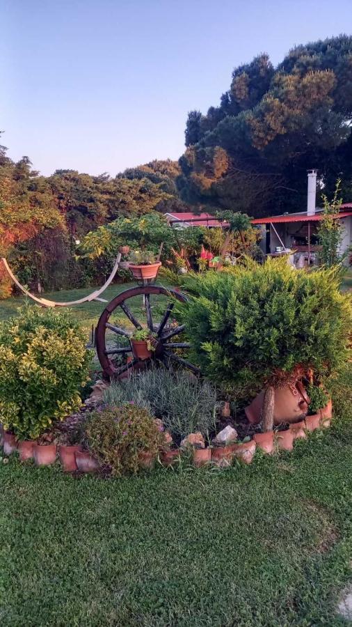 Ivonnis Garden Villa Mesimvria  Exterior photo