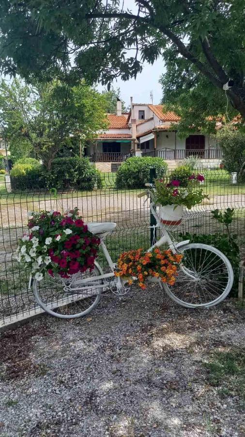 Ivonnis Garden Villa Mesimvria  Exterior photo